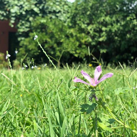 Apartmani Pavicevic ポドゴリツァ エクステリア 写真